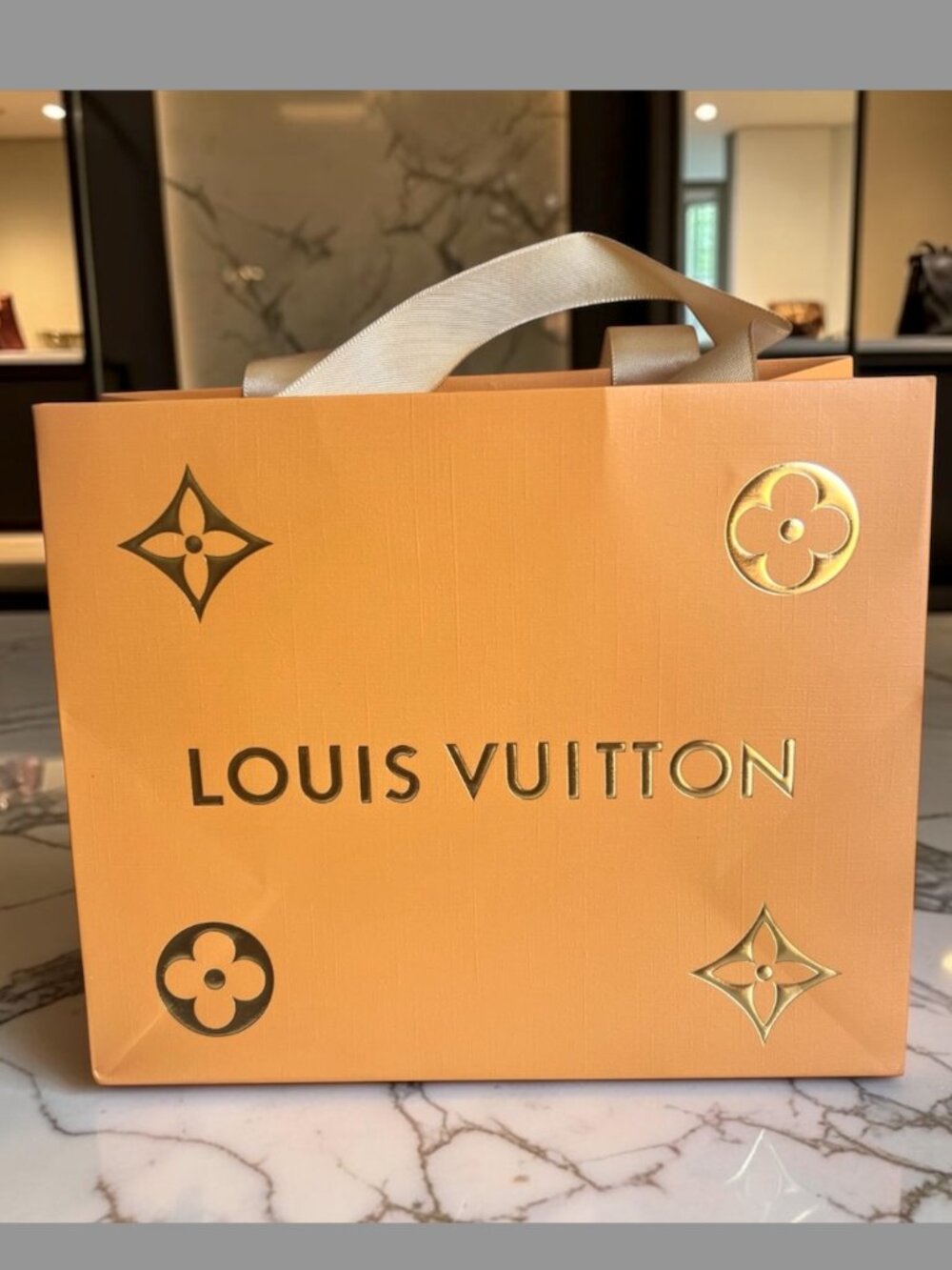 LOUIS VUITTON Gold Gift Bag with ribbon (LVXX002) - Picture 3 of 6